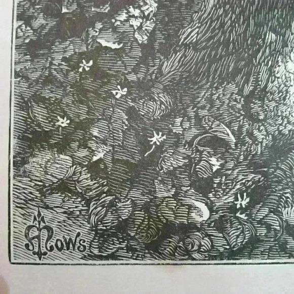 Art Print Hemlock Trees Lake Otsego New York Nature John A. Hows Antique 1874 - Picture 6 of 12